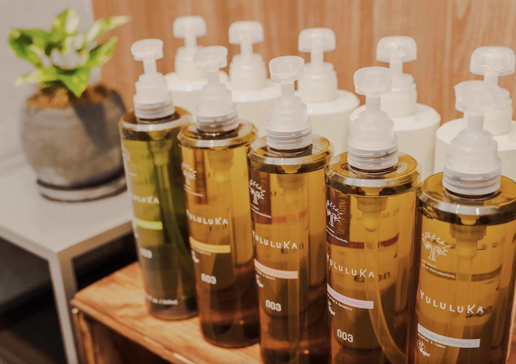 シャンプー・ヘッドスパ設備